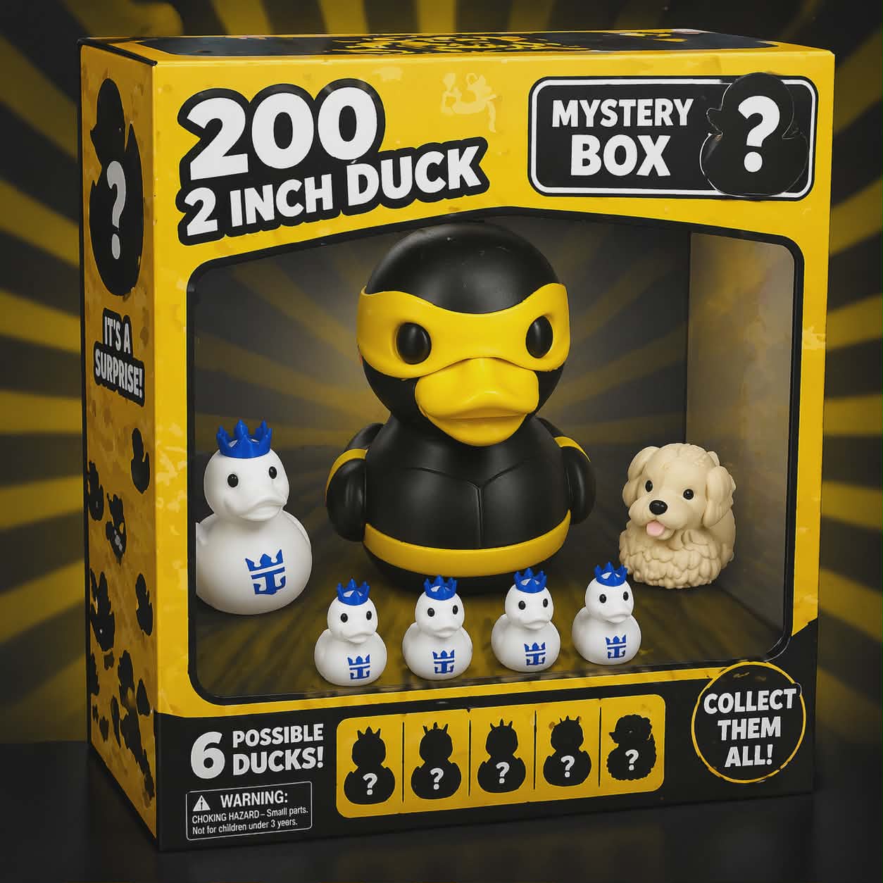 200 2Inch Duck Mystery Box